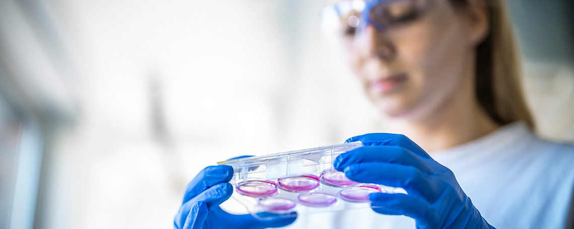 (Senior) Business Development Manager Protein or Viral Vectors (m/f/d), 3. image